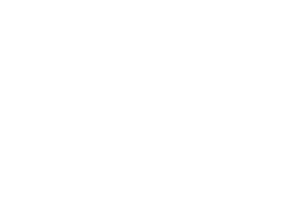 logotipo DSF